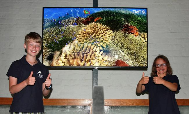 Das Virtuelle Korallenriff des ZMT geht in seiner 2D-Variante als Leihgabe an das Meeresmuseum in Stralsund.