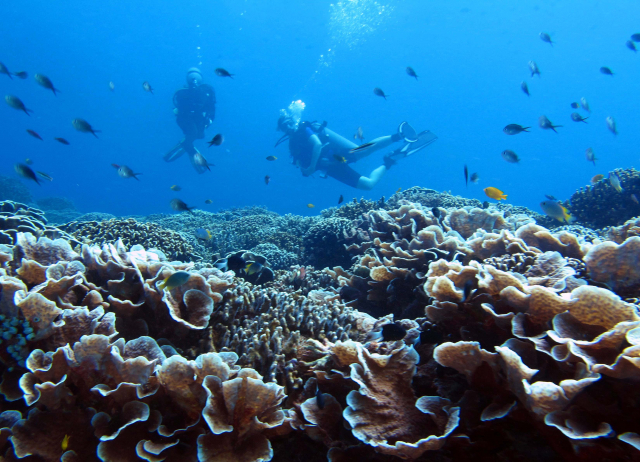 Reefs off Lombok, Indonesia | Pia Kegler
