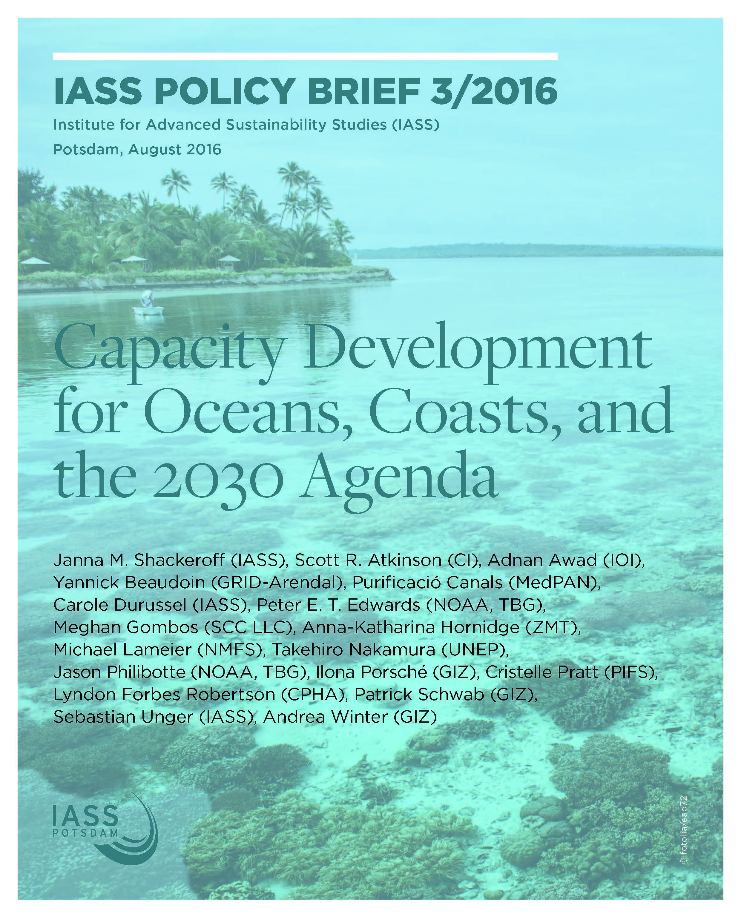 Cover IASS Policy Brief 2016 3