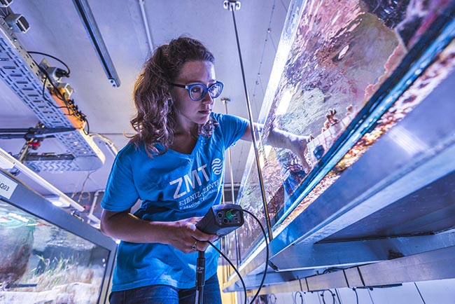 Messungen im Meerwasseraquarium