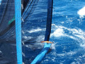 Fang mit dem ‚Rectangular Midwater Trawl‘ 