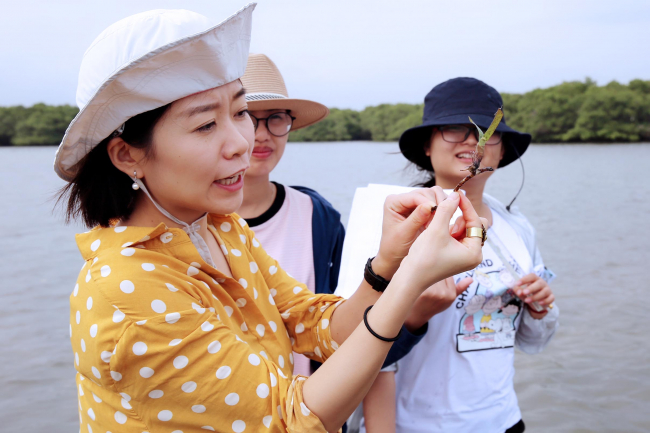 Citizen science seagrass monitoring project in China (Photo: Erhui Feng)