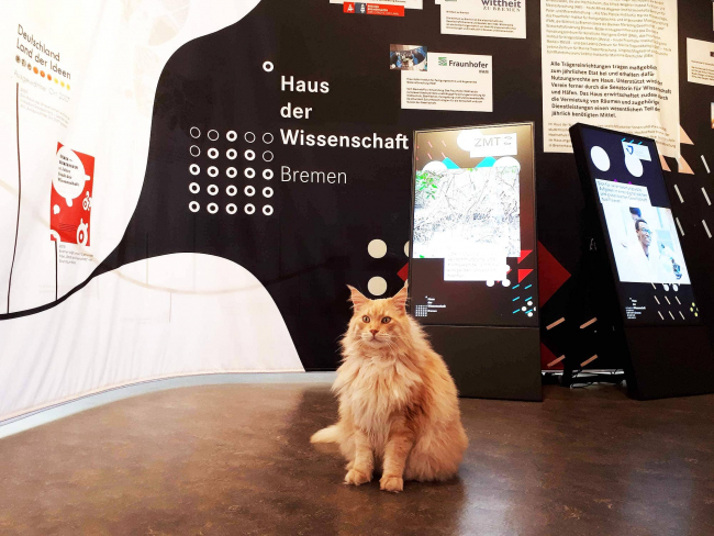 Exhibition for the 15th anniversary. Even tomcat Ernie, well-known in Bremen, did not miss the opportunity to visit the exhibition. | Photo: Dagmar Nürnberger