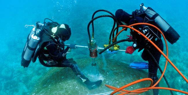 Entnahme eines Korallenbohrkerns im Südpazifik. Zum Schutz der Koralle wird das Bohrloch anschließend mit Zement aufgefüllt. (Foto: John Butscher, IRD-Centre de Noumea, New Caledonia)