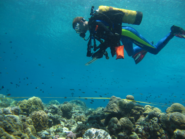 Der Autor beim Zählen von Fischen in einem Korallenriff in Indonesien | Foto: Hauke Kegler, ZMT
