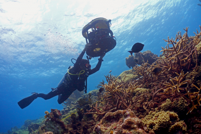 HyperDiver in use - a hyperspectral surveying instrument for scientific divers | Photo: Arjun Chennu