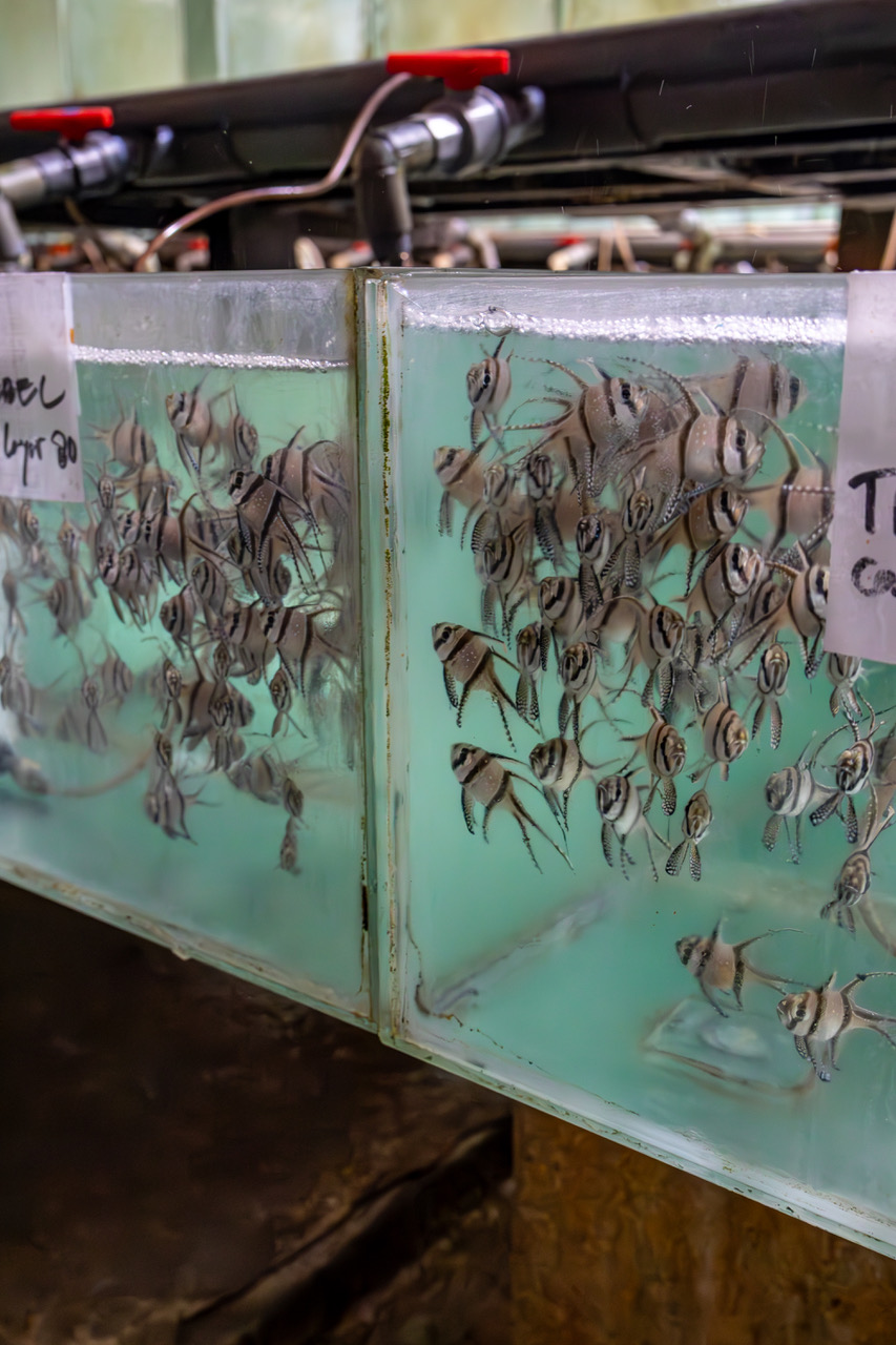 Vortrag Nora Leonie Rust ZMT 14032026 3