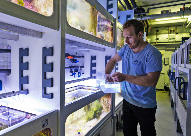 Holger Kühnhold in der Meerwasseranlage des ZMT (Foto: Jan Meier)