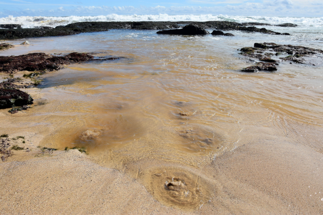 Groundwater gushes out of the ground on the coast in Gunung Kidul, Java | Photo: Nils Moosdorf, ZMT