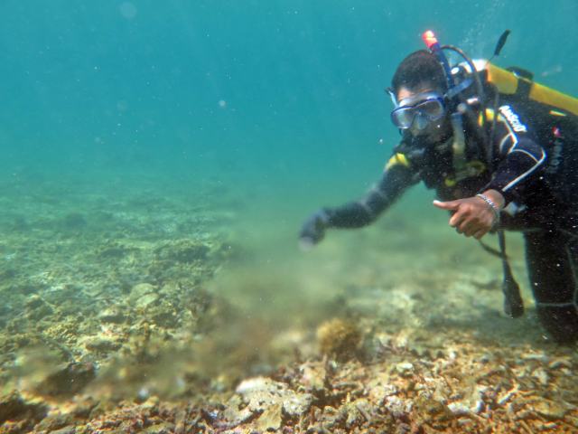 Grundwasserquelle in einem Riff vor Lombok | Foto: Imke Podbielski, ZMT