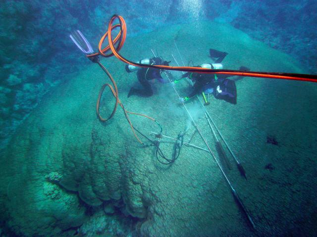 Forscher entnehmen einer Steinkoralle der Gattung Porites im Riff vor der Insel Tau, Amerikanisch-Samoa, einen Bohrkern. Zum Schutz der Koralle wird das Bohrloch anschließend mit Zement aufgefüllt. | Foto: Braddock K. Linsley