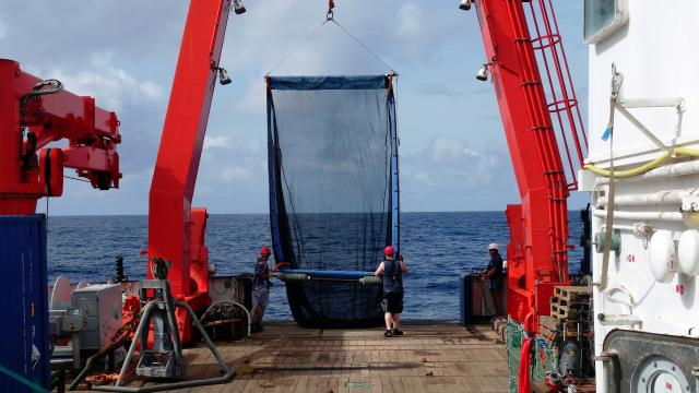 Casting a net to catch plankton on board the Meteor | Photo: Werner Ekau, ZMT
