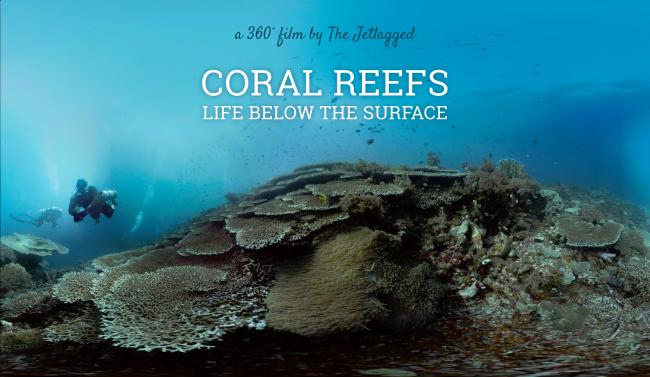 360° film "Coral reefs - Life below the surface"