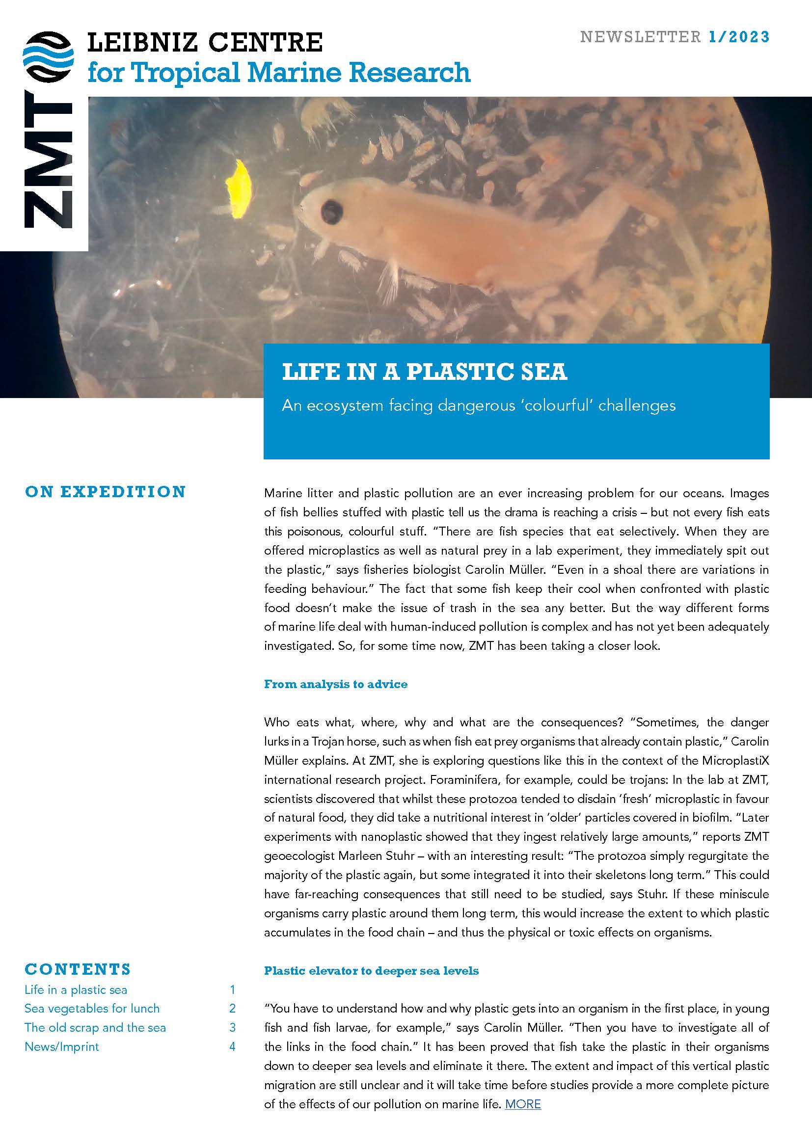 Cover ZMT Newsletter 1 2020