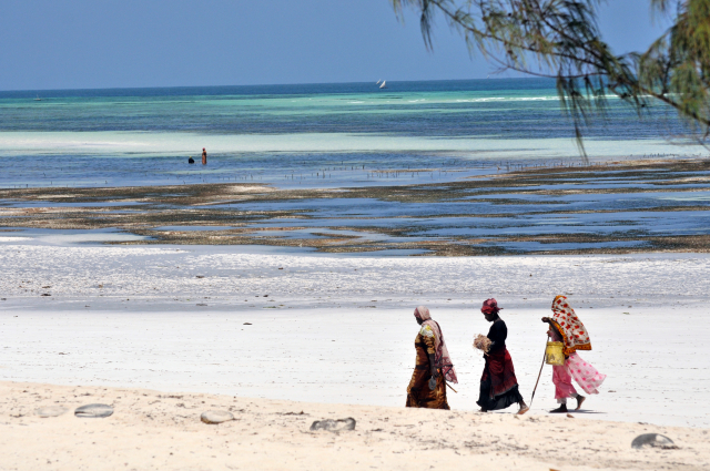 Sansibar | Foto: Hauke Reuter, ZMT