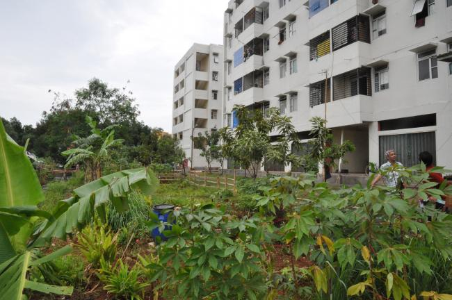 Gartenarbeit rund um die Siedlung in Jakarta: Umsiedlung von Fischergemeinden, die vom Anstieg des Meeresspiegels betroffen sind | Foto: Anna-Katharina Hornidge, ZMT