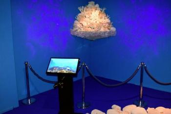 Virtuelles Riff im Klimahaus