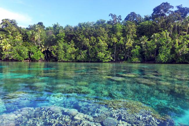 Coast in Melanesia | Photo: Sebastian Ferse