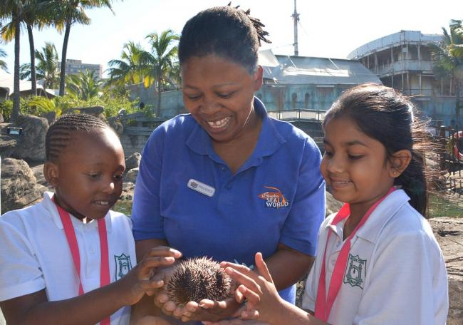 The South Africa Association for Marine Biological Sciences (SAAMBR) contributes its expertise in environmental education to the project "Bremen Durban Network for Marine Environmental Education" at | Photo: SAAMBR