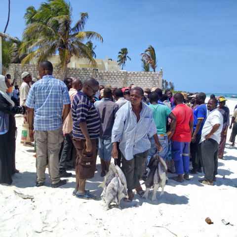 Two-week training course on the assessment of fish stock status to be held in Zanzibar | Photo: Paul Tuda, ZMT