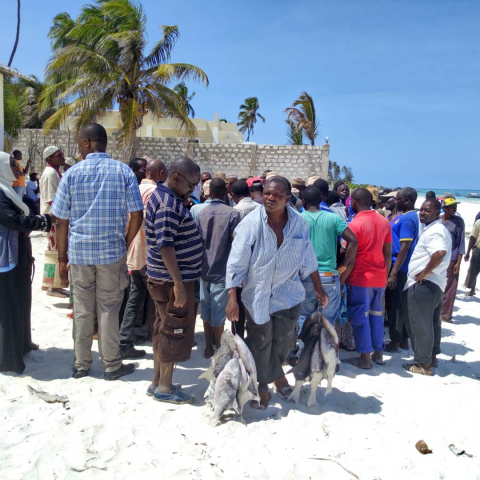 Zweiwöchiger Trainingskurs zur Bewertung des  Fischbestandes in Sansibar | Foto: Paul Tuda, ZMT