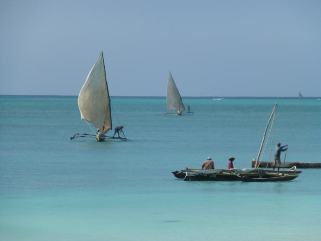 Ecological Network Analysis (ENA) has been particularly applied for studying the structure and functioning of coastal and marine ecosystems and the effects of human activities such as fisheries on the ecosystem level. | photo: Dwieuwke Hoeijmakers.