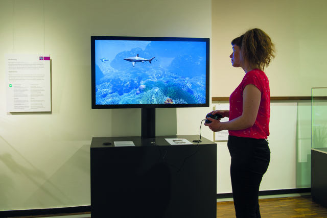 The virtual coral reef of the ZMT in the Überseemuseum | Foto: Volker Beinhorn, Übersee-Museum Bremen