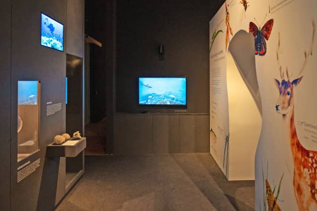 The ZMT exhibit in the exhibition "The Climate" of the LWL-Museum of Natural History in Münster (Photo: LWL-Museum für Naturkunde)