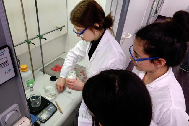 Module on Marine Pollution by Plastics at the School Laboratory of the University of Bremen | Photo: Martina Osmers, University of Bremen