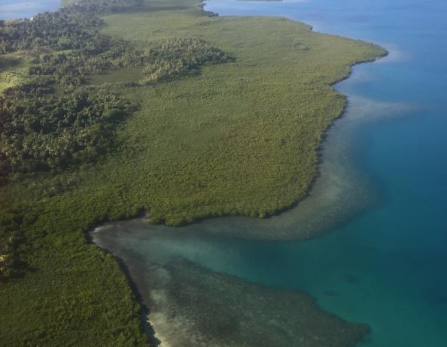 Luftaufnahme der Küstenlinie im Osten der Insel Viti Levu in Fidschi | Foto: Sebastian Ferse, ZMT