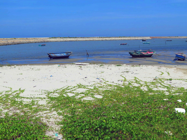 Wie lassen sich die Küsten von Hainan nachhaltig managen? | Foto: Jialin Zhang, ZMT