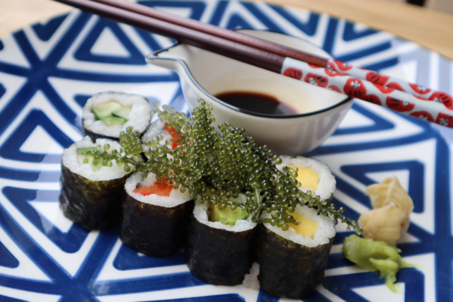 Meerestrauben mit Sushi (Foto: Lara Stuthmann, ZMT)