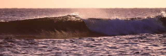 Winter School "Ocean Goverance for Sustainable Marine Ecosystems": February 16-21, 2020 at ZMT | Photo: Sonia Bejarano, ZMT