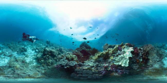 Stills image from the 360° film "Coral Reefs - Life Below The Surface " by ZMT and The Jetlagged | Photo: The Jetlagged
