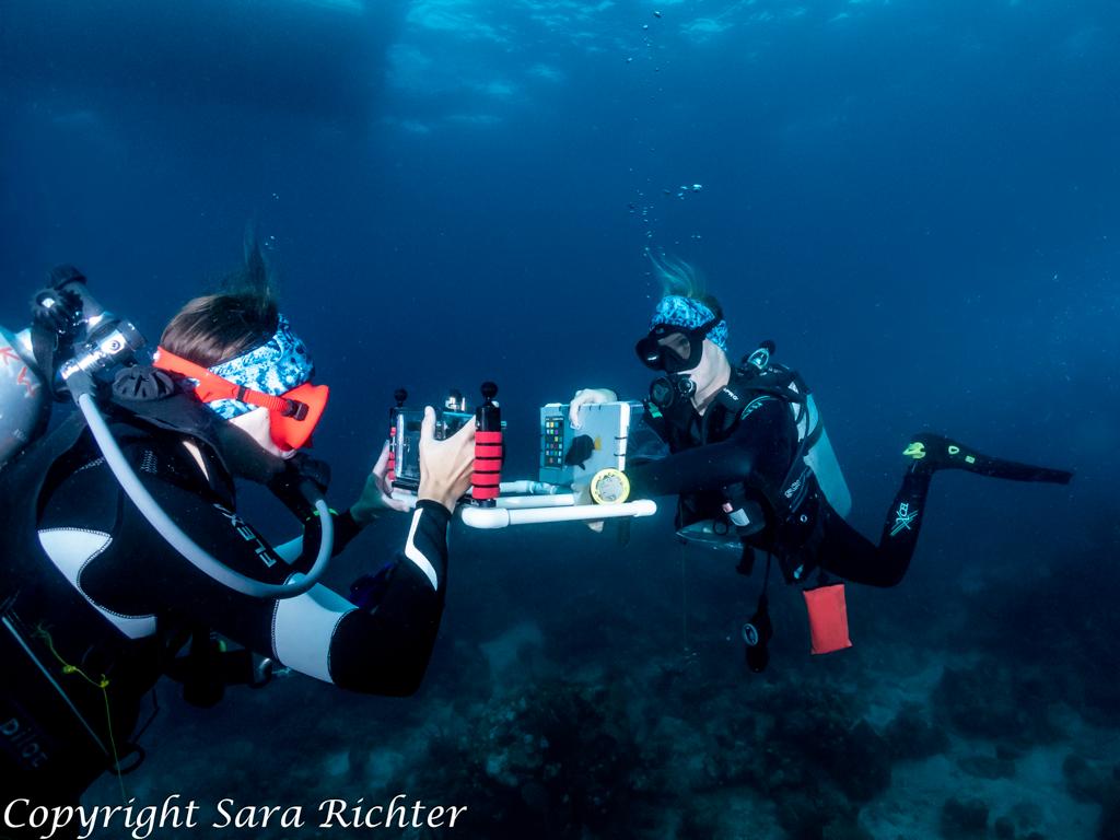 Floriane Coulmance Melanie Heckwold taking standard photographs of a yellowtail hamlet in St John US Virgin Island