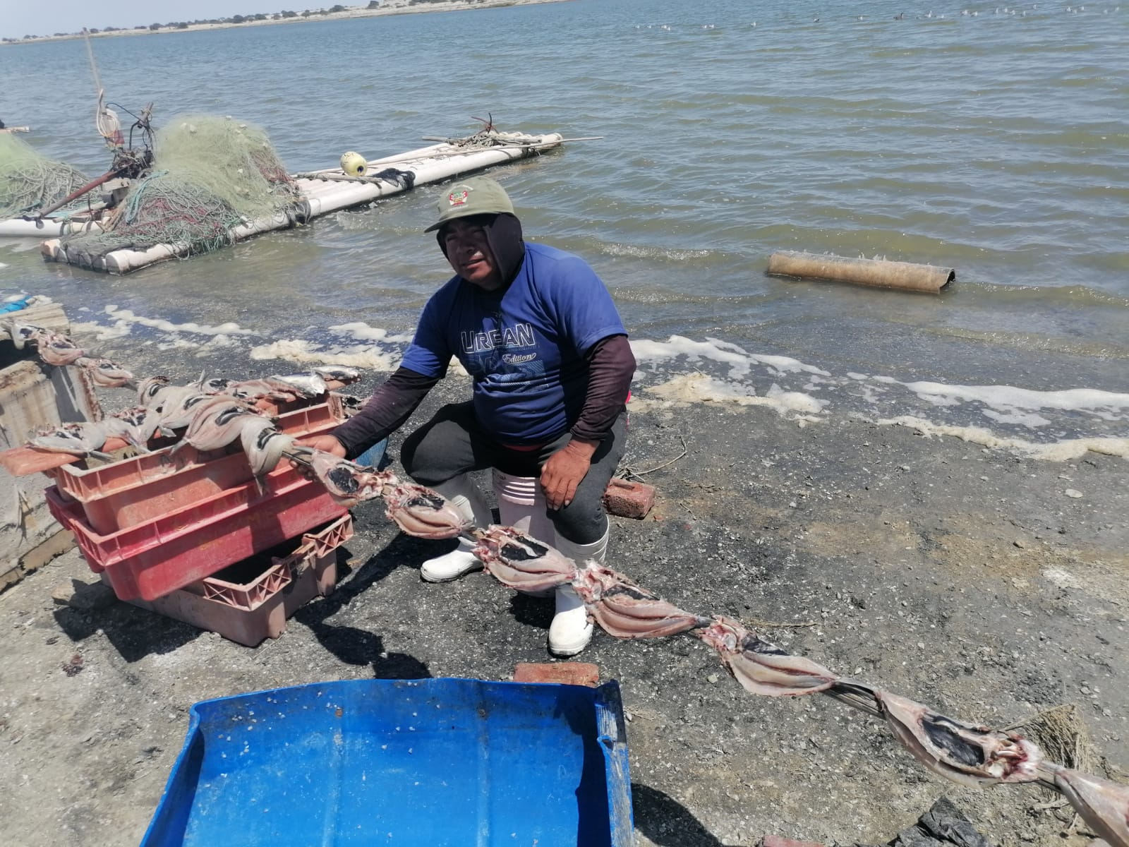 Fisherman of Virrilá Estuary getting the days catch ready for local market