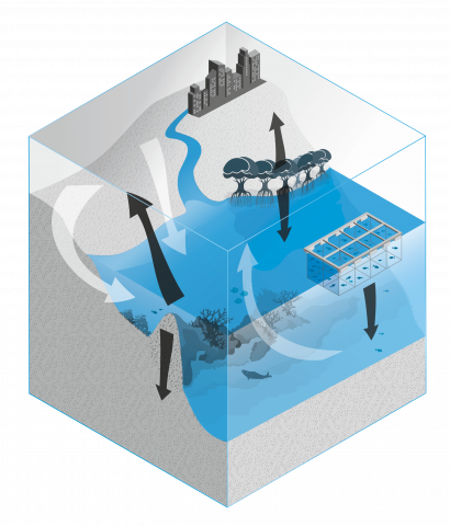 Grafik Biogeochemie und Geologie