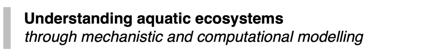 Subheadline 1