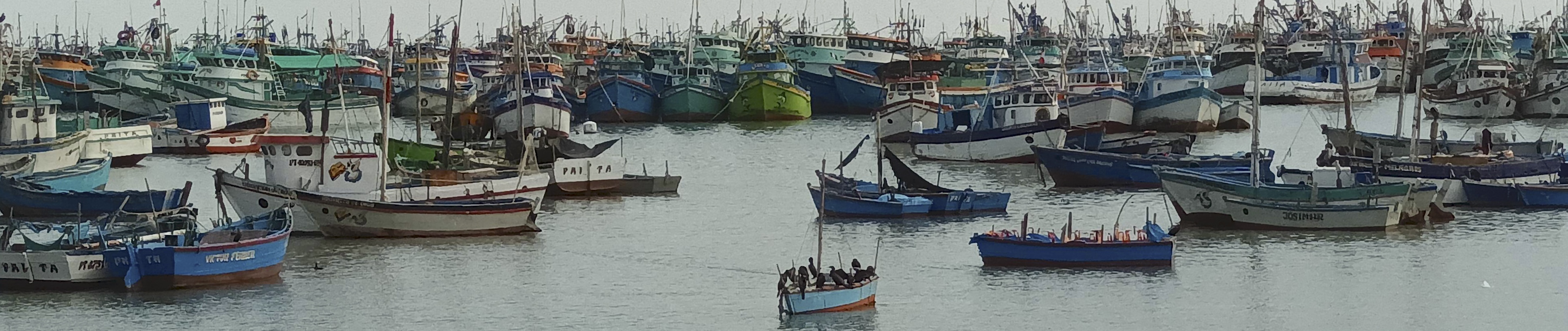 WGERS banner pic neu