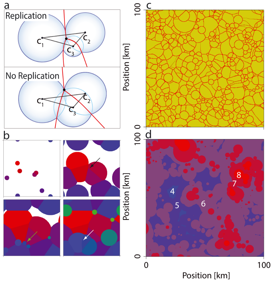 Convective Organization