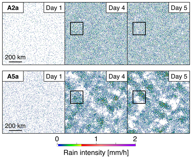 Rain Intensity web