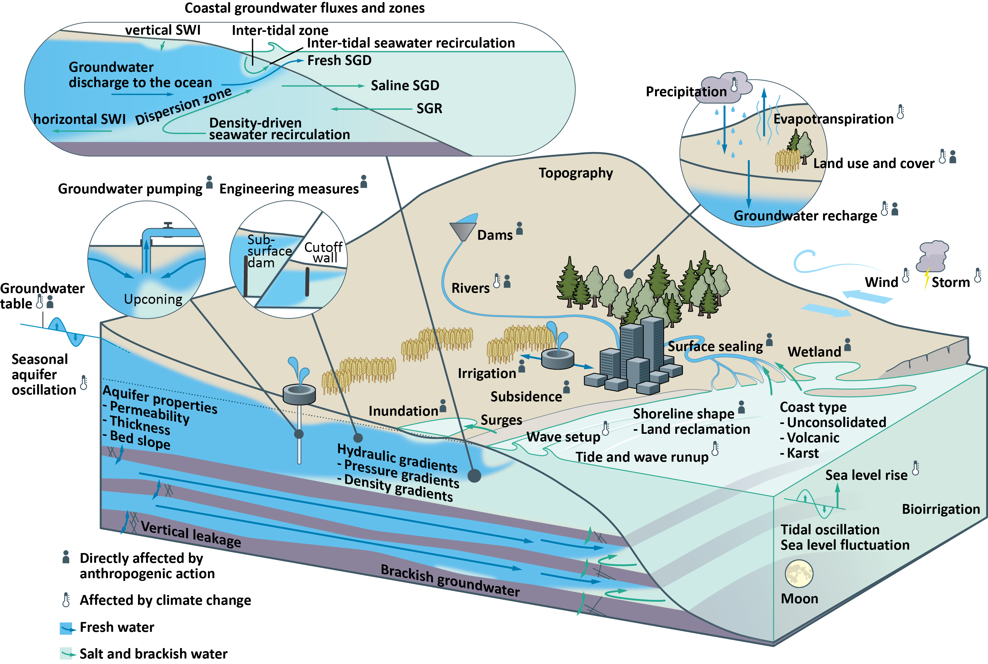2 PerceptualModelCoastalGroundwaterFluxes120924