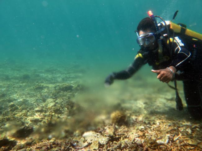 Süßwasserquelle im Meer vor Lombok. Wo Süß- und Salzwasser sich vermischen, wird das Wasser schlierig ꓲ Foto: Imke Podbielski
