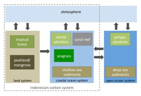 Indonesian carbon system