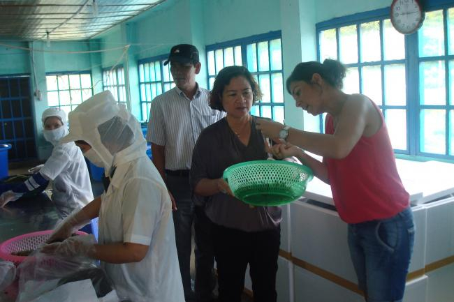 Sample collection seaweed farm Vietnam