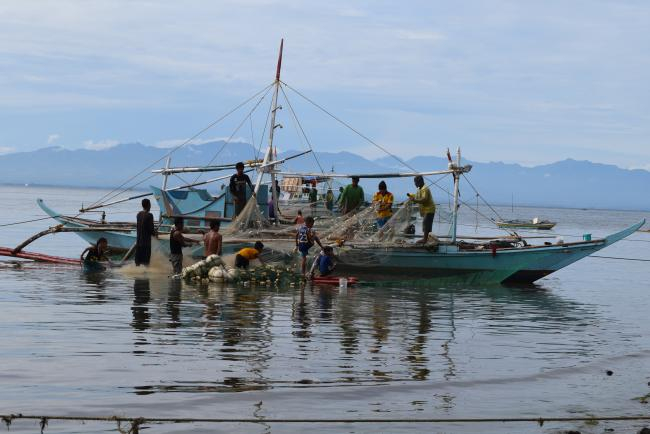 The principal objective of this PhD project is to apply a holistic, ecosystem-based approach to evaluating the potential impacts of a seasonal closure on the small pelagics fishery in the Visayan Sea, Philippines. | Photo: Ruby Napata (IFPDS-CFOS, University of the Philippines, Visayas)