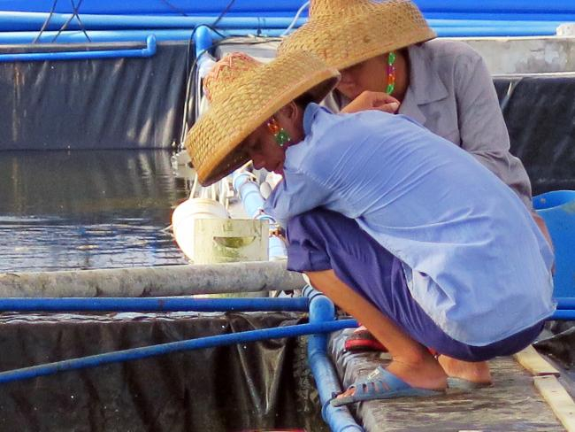 Aquaculture in Hainan, China