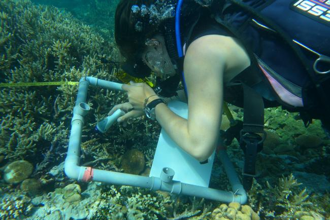Studying coral reefs in Papua New Guinea