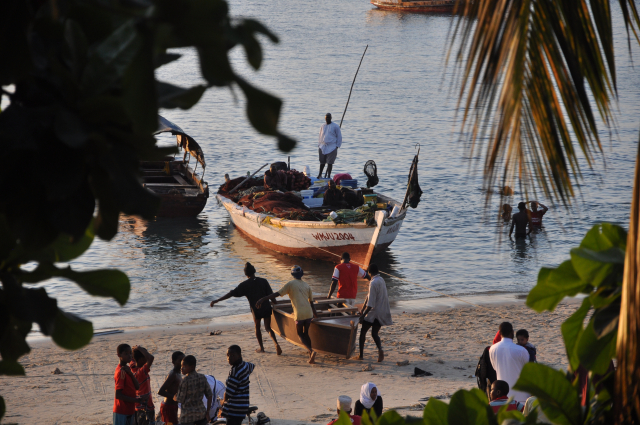 Through a participatory and science-based approach, the partnership will work jointly with stakeholders to review the current fisheries monitoring system to make recommendations for an improved and efficient data collection, handling, analysis and reporting. | Photo: Hauke Reuter, ZMT