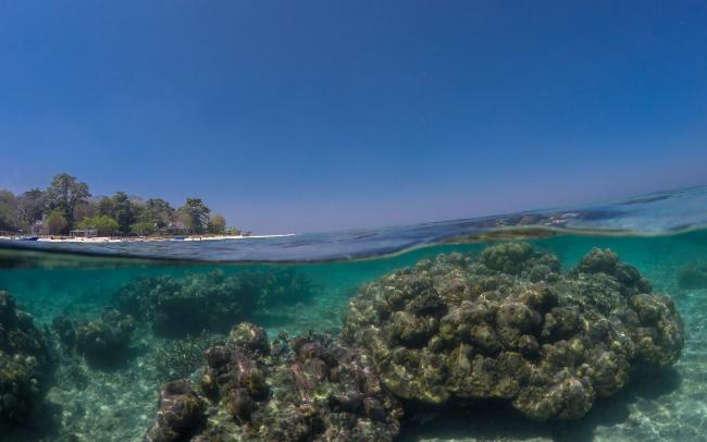 This project contributes to the understanding of the dominant drivers of Holocene / Anthropocene sea-level changes in Indonesia, an archipelago that is highly vulnerable to future sea-level rise. | Photo: Thomas Mann, ZMT